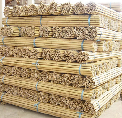 bamboo palki